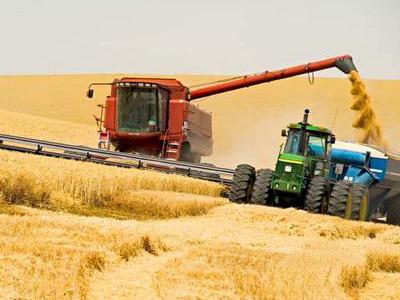 Прогноз спроса и предложения на мировых рынках зерновых в сезоне 2016–2017 годов