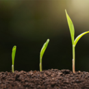 Новые подходы в отраслевом строительстве