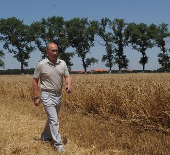 Путин поздравил с Днём работника сельского хозяйства и перерабатывающей промышленности