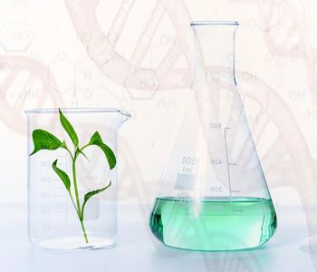 Свыше 1000 новинок селекции вошли в Госреестр в 2025 году