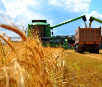 Минсельхоз России: на 14 сентября собрано 88,2 млн тонн зерна