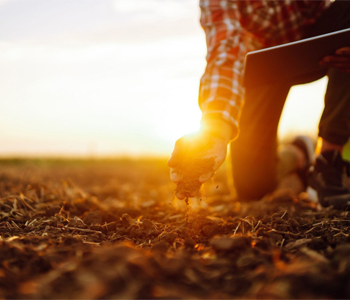 В ЕЭК рассмотрены предложения Национального семенного альянса по уточнению требований к размещению материнских форм