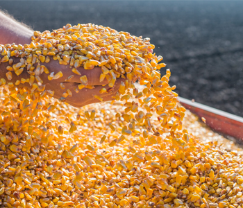 Планы по обеспечению технологического суверенитета АПК