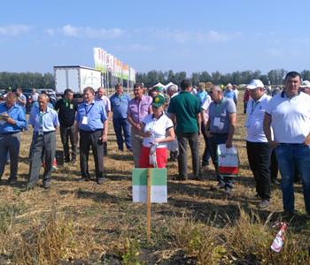 В Тамбовской области 7 сентября прошел день поля