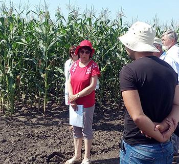 Совместно с КРИА ДПО ФГБОУ КГАУ проведена полевая практика агрономов-апробаторов