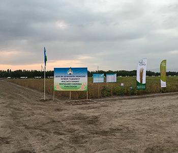 Состоялся день поля в Узбекистане