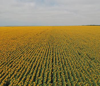 Дайджест новостей отрасли за вторую половину июля 2021 года