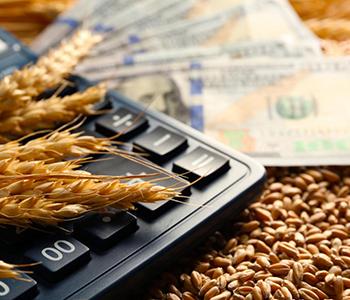 Ситуация на мировом рынке зерновых в ноябре 2019
