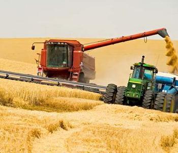 Рекордные уровени производства зерновых обеспечат рост предложения на мировых рынках