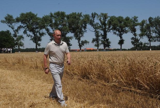 Владимир Путин поздравил труженников агропромышленного комплекса