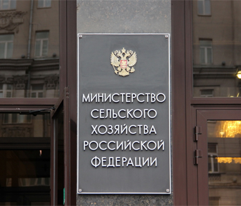 Новый порядок уничтожения семян с ГМО разрабатывает Минсельхоз