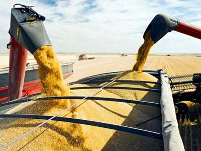 Сводка спроса и предложения на мировом рынке зерновых