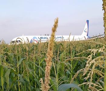  Airbus совершил аварийную посадку на кукурузное поле засеянном семенами члена Ассоциации