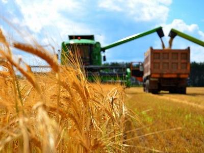На 14 сентября в РФ собрано 88,2 млн тонн зерна