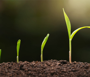 Новые подходы в отраслевом строительстве