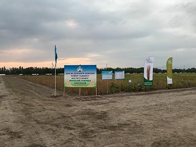 В Республике Узбекистан прошел день поля