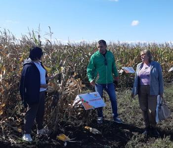 Представители ассоциации осмотрели делянки сортоиспытаний сои и кукурузы в Приморском крае