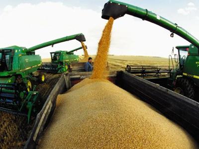  На 23 октября в РФ собрано более 134 млн тонн зерна